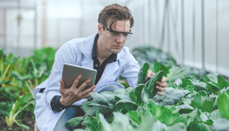 Agriculture